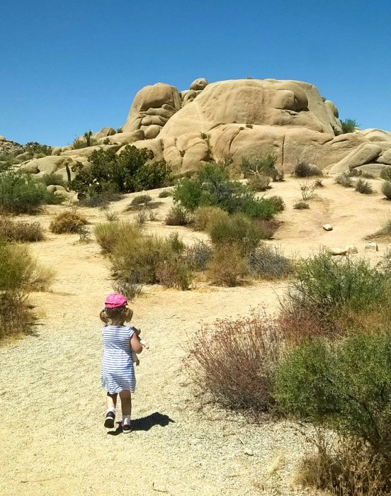 Joshua Tree National Park - California con bambini - grandi parchi ovest usa