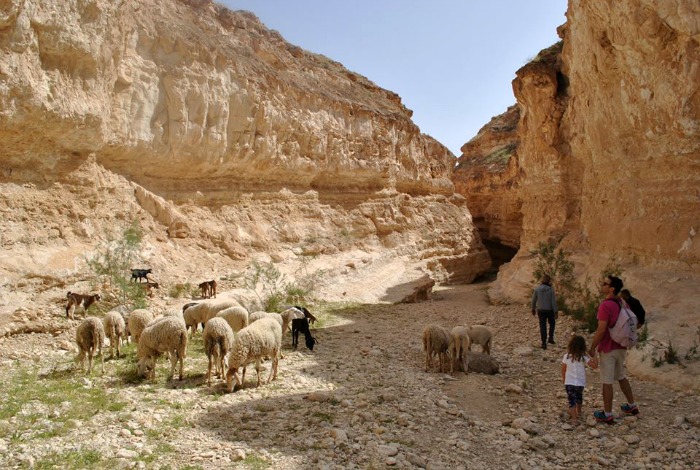mides canyon tunisia con bambini