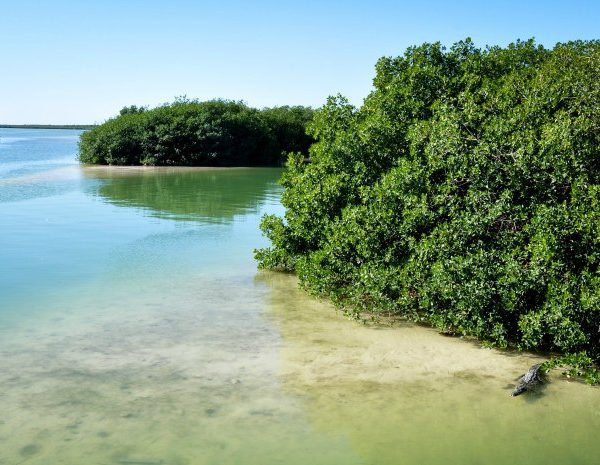 Rio Lagartos - Yucatan con bambini - Messico fly&drive