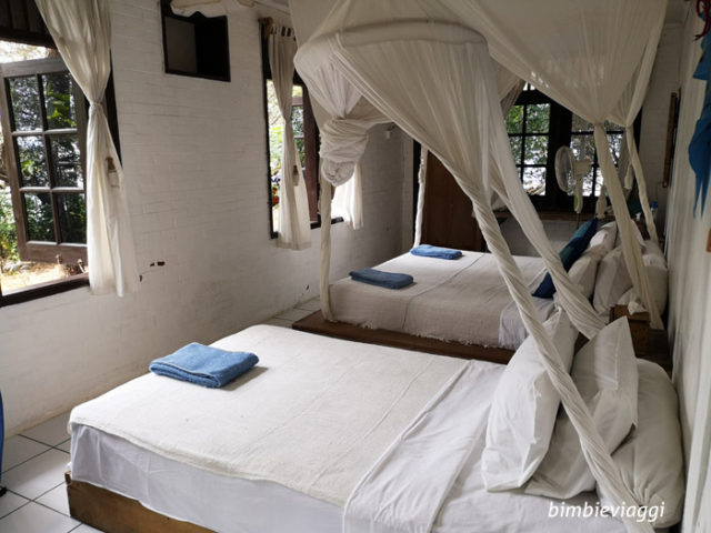 macan island resort - giava con bambini dove dormire in indinonesia