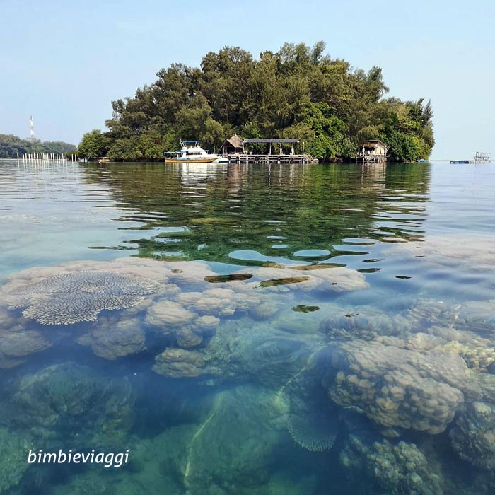 Java-con-bambini-machan-island