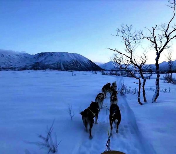 lofoten con bambini in inverno - norvegia in inverno