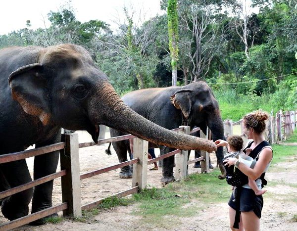 Chiang Mai con bambini - Thailandia del nord con bambini