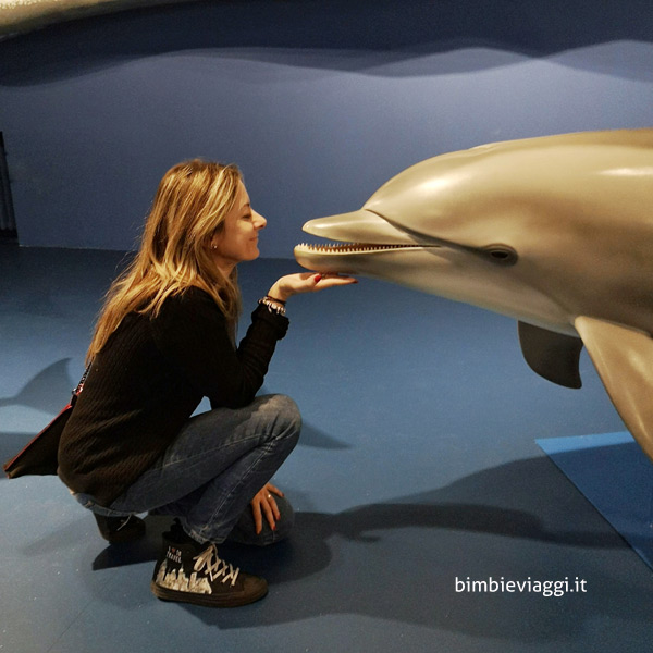 musei di Genova con bambini - sala cetacei museo storia naturale genova 
