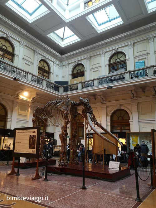 musei di Genova con bambini - mammut -museo storia naturale doria