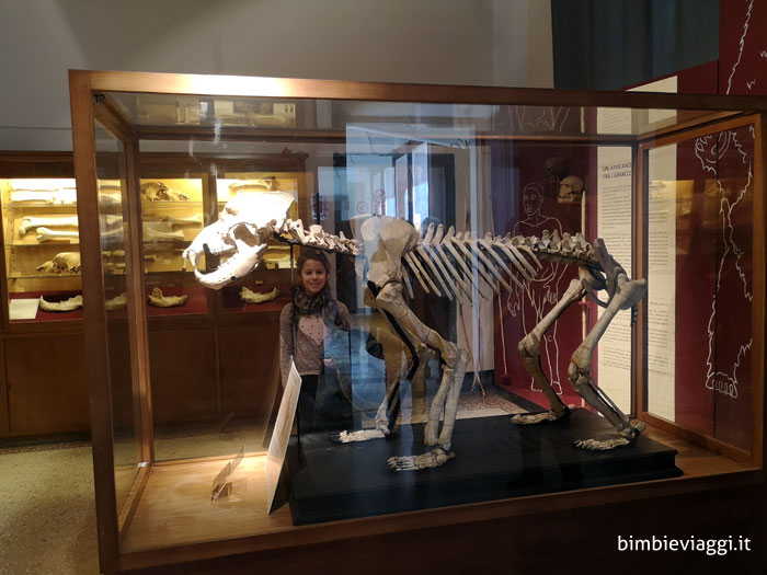musei di Genova con bambini - orso delle caverne museo archeologico pegli