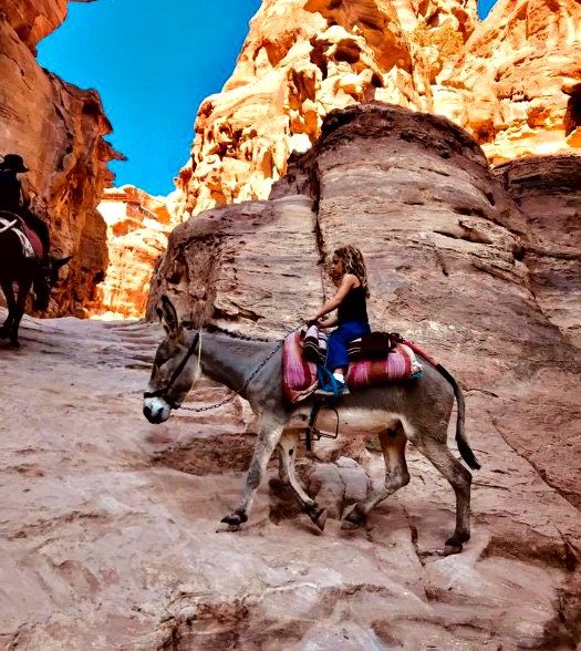 Petra con bambini - giordania con bambini - viaggio in giordania per famiglie