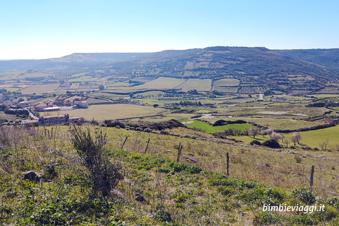 Genoni Sardegna