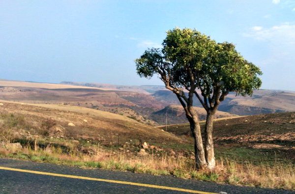 Viaggio in Sudafrica con un bimbo: informazioni e consigli pratici