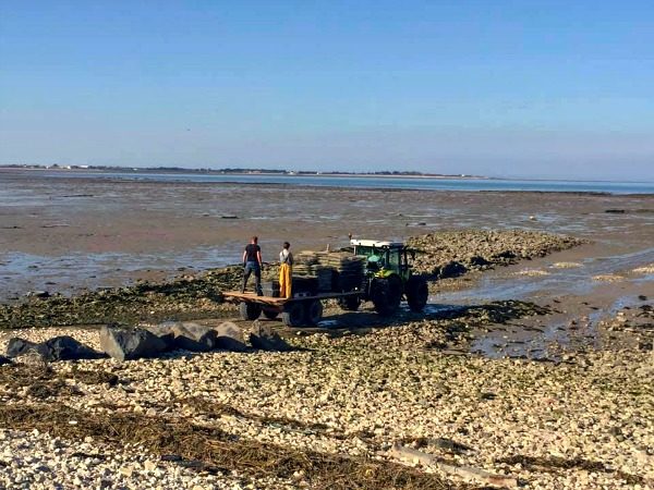 Allevamenti di ostriche - Cicloturismo in Francia con bambini: alla scoperta dell'Ile de Ré