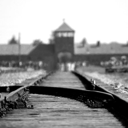 Visitare Auschwitz con bambini informazioni e consigli pratici