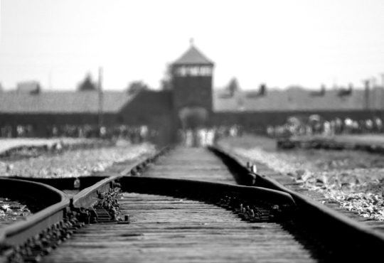 Visitare Auschwitz e Birkenau: informazioni e consigli pratici