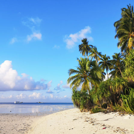 si puo viaggiare 2021 spiaggia maldive viaggiare durante pandemia