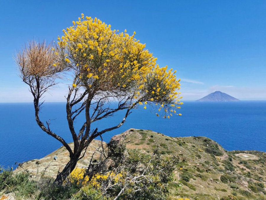 Panarea Viaggio alle Eolie per donne Destinazione Umana - velatrekking eolie