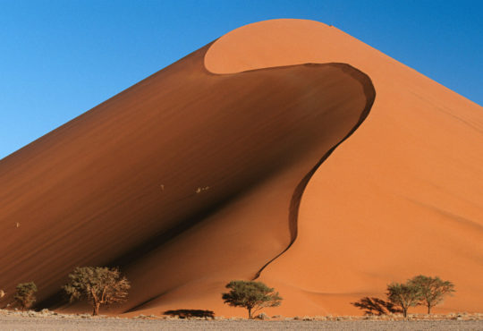 Namibia in famiglia: viaggio on the road tra dune e animali