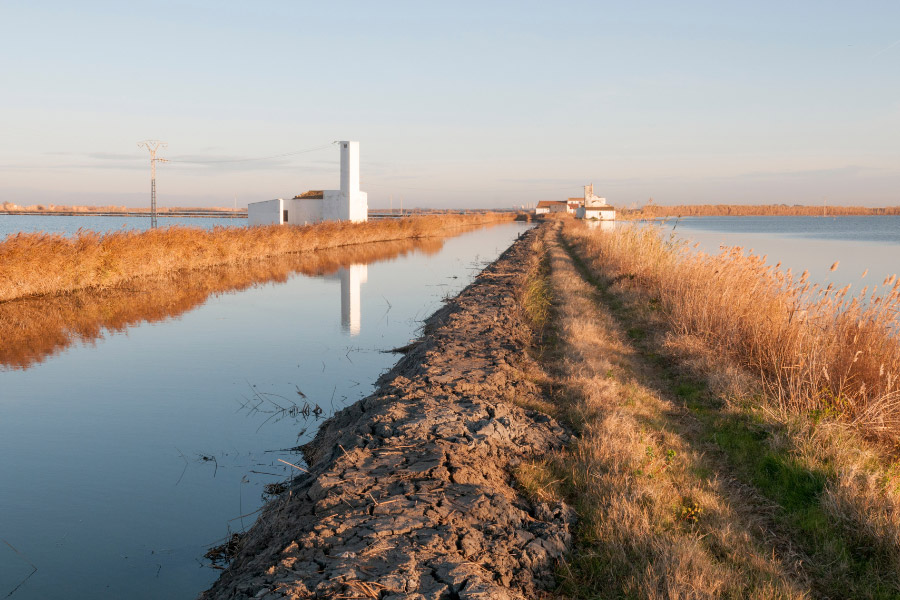 dintorni di valencia con bambini - Parco Naturale dell’Albufera di Valencia