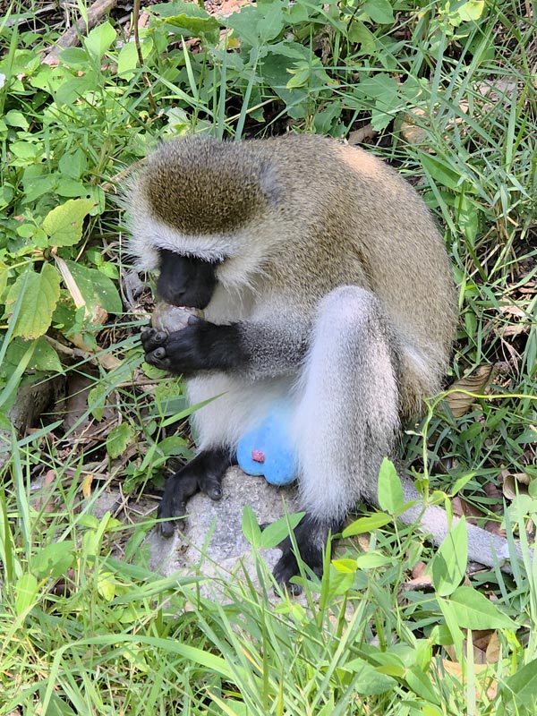 viaggio in ruanda lake kivu