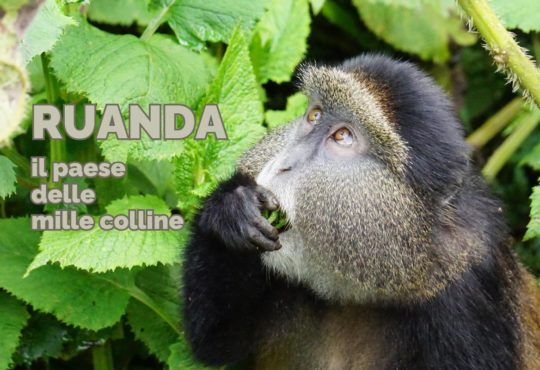 Viaggio in Ruanda: tutti i consigli per visitare il “paese delle mille colline”